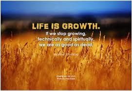 Ori te dezvolti, ori te&nbsp;chinui!