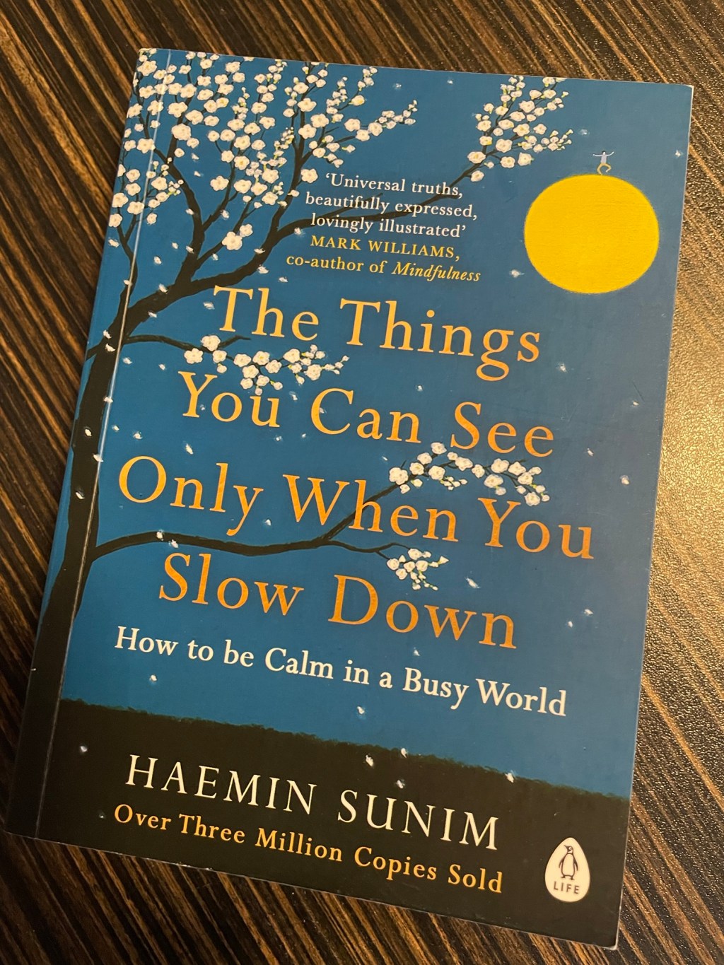The Things You Can See Only When You Slow Down by Haemin&nbsp;Sunim