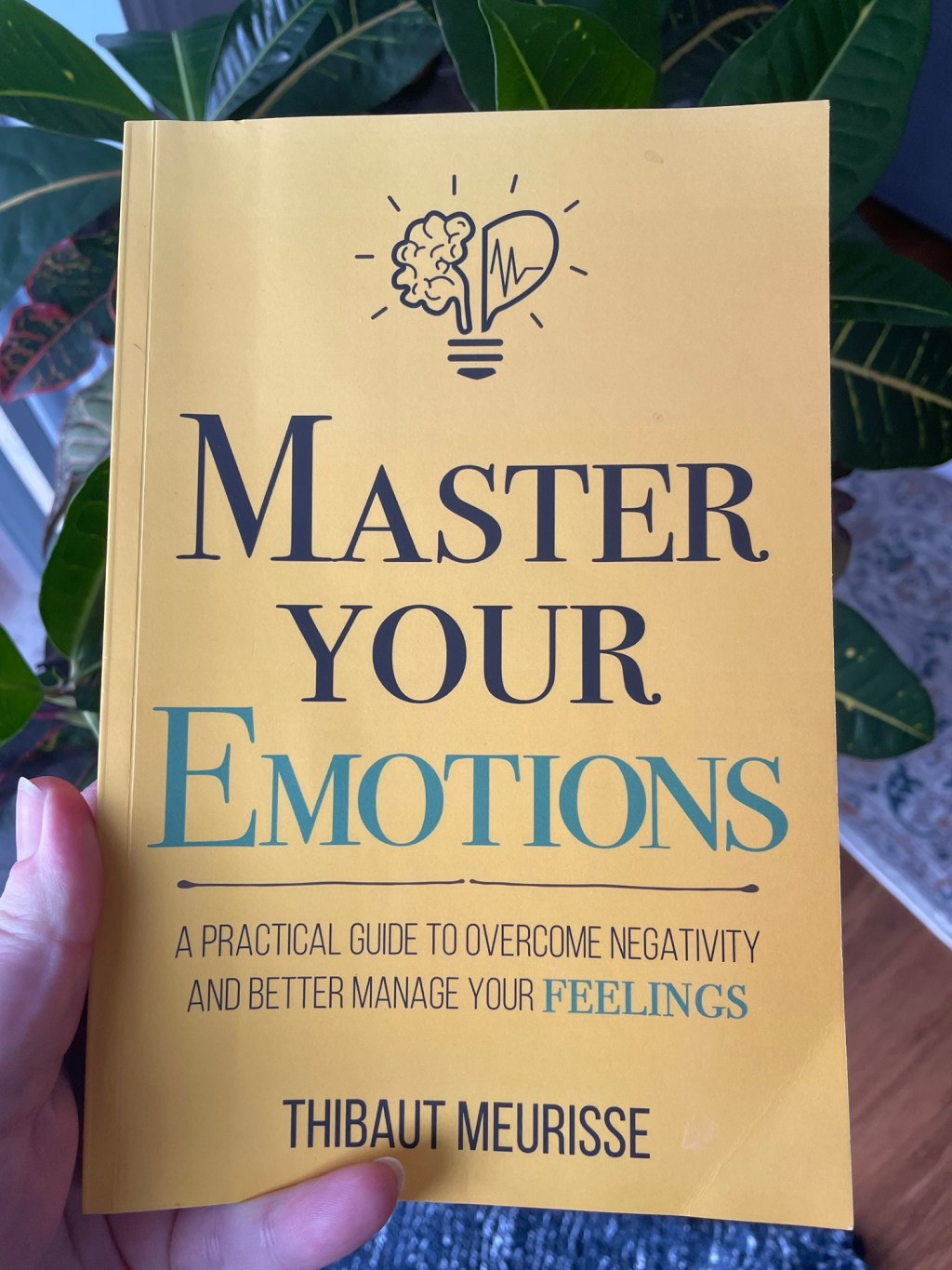 Master your emotions, by T.&nbsp;Meurisse