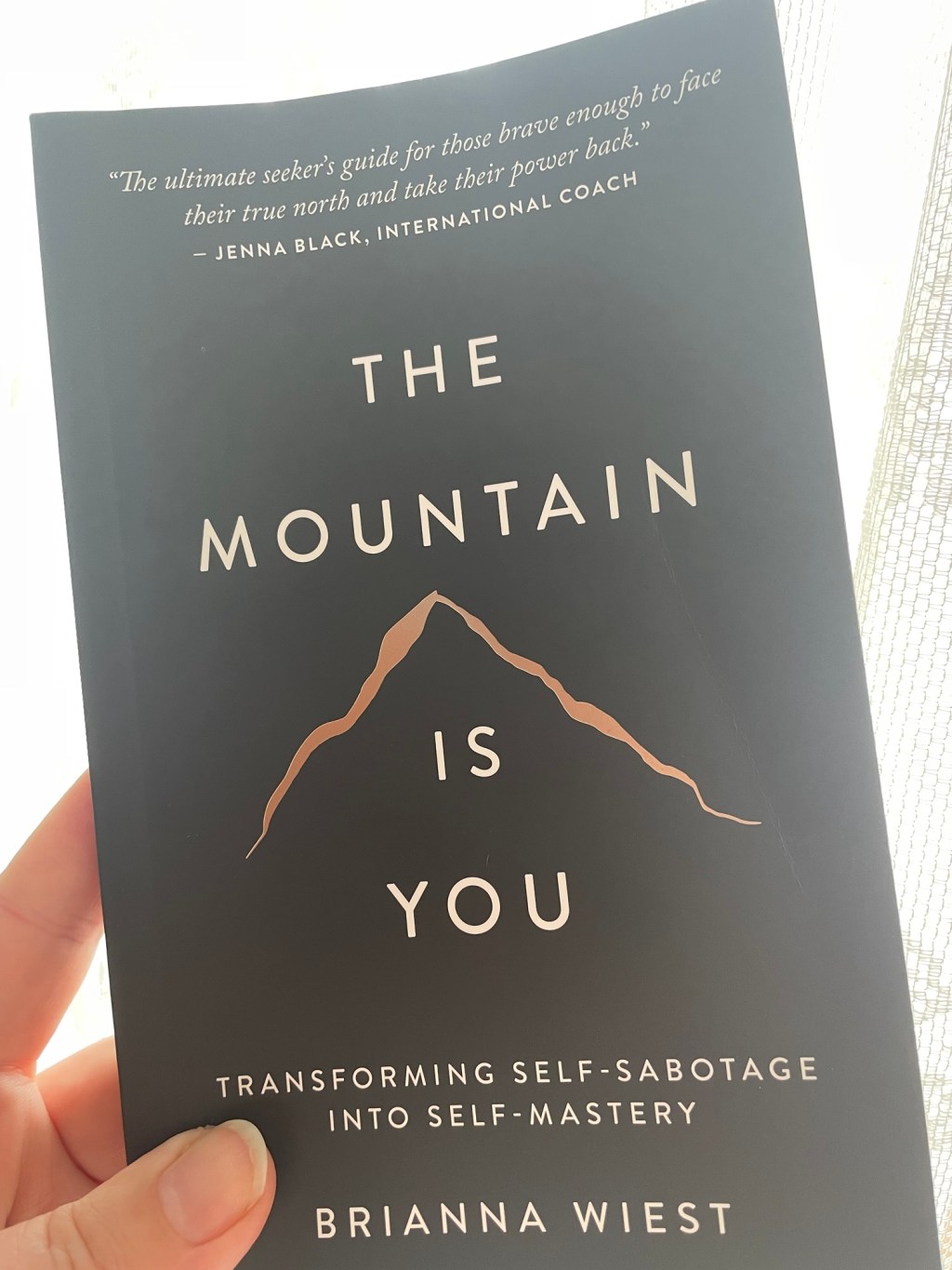 The Mountain is You, by Brianna&nbsp;Weist
